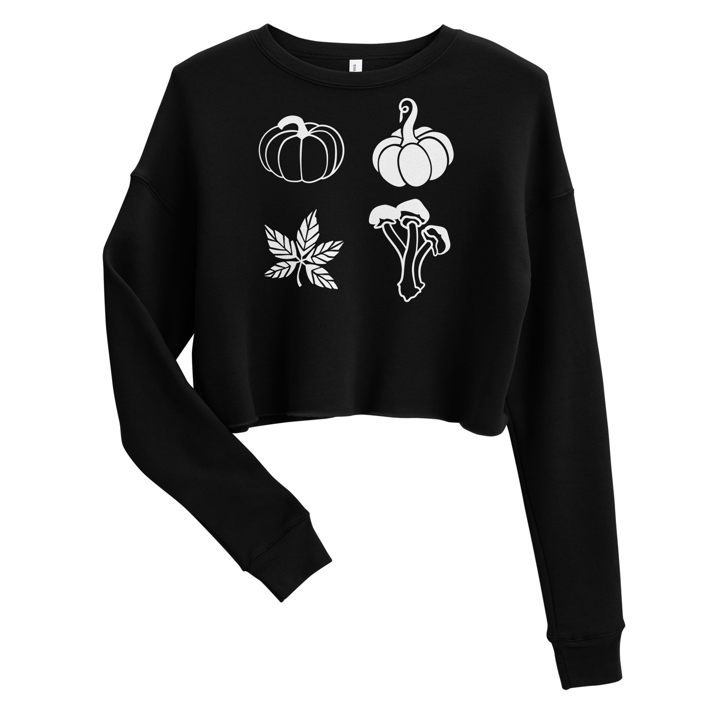 Fall type Crop Sweatshirt